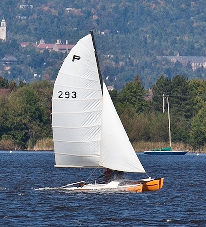 Endless Summer PCat 420x462x96