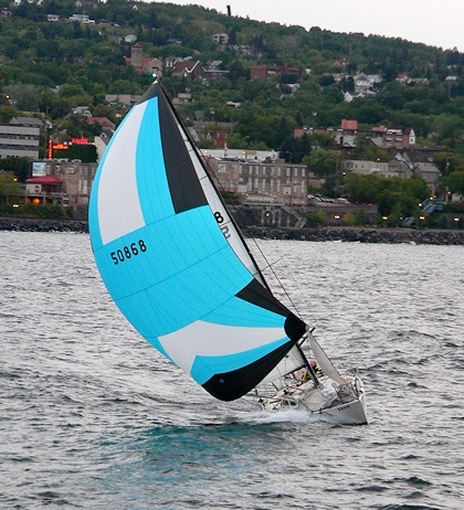 Polar Bear Olson 30 420x462x96