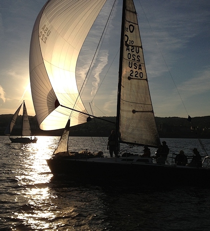 Raptor Olson 30 420x462x96