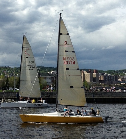 Tweety Olson 30 420x462x96